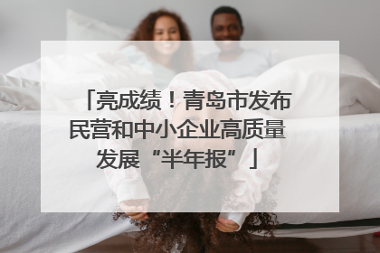 亮成绩！青岛市发布民营和中小企业高质量发展“半年报”