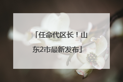 任命代区长！山东2市最新发布