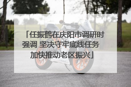 任振鹤在庆阳市调研时强调 坚决守牢底线任务 加快推动老区振兴