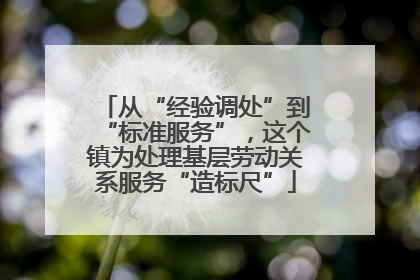 从“经验调处”到“标准服务”，这个镇为处理基层劳动关系服务“造标尺”
