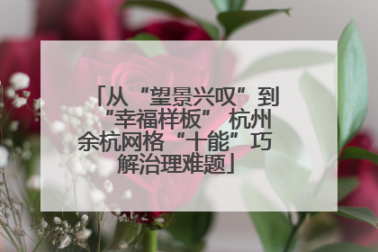 从“望景兴叹”到“幸福样板” 杭州余杭网格“十能”巧解治理难题