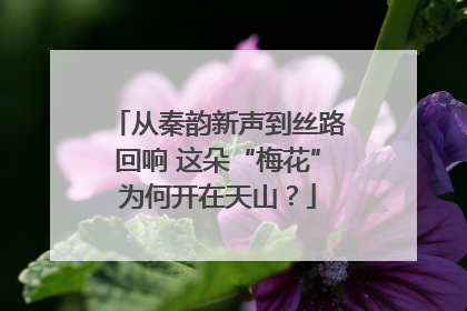从秦韵新声到丝路回响 这朵“梅花”为何开在天山？