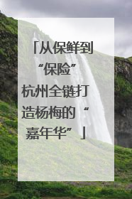 从保鲜到“保险” 杭州全链打造杨梅的“嘉年华”