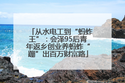 从水电工到“蚂蚱王”：会泽95后青年返乡创业养蚂蚱“蹦”出百万财富路