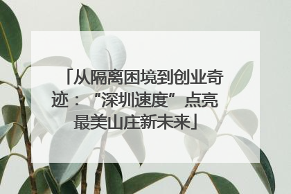 从隔离困境到创业奇迹：“深圳速度”点亮最美山庄新未来