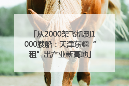 从2000架飞机到1000艘船：天津东疆“租”出产业新高地