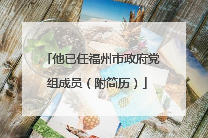 他已任福州市政府党组成员（附简历）