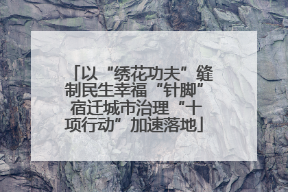 以“绣花功夫”缝制民生幸福“针脚” 宿迁城市治理“十项行动”加速落地