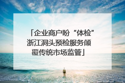 企业商户盼“体检” 浙江洞头预检服务颠覆传统市场监管