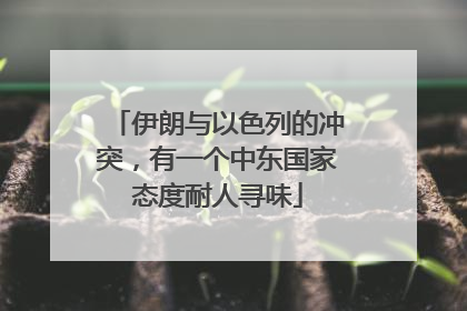 伊朗与以色列的冲突，有一个中东国家态度耐人寻味