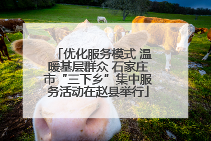 优化服务模式 温暖基层群众 石家庄市“三下乡”集中服务活动在赵县举行