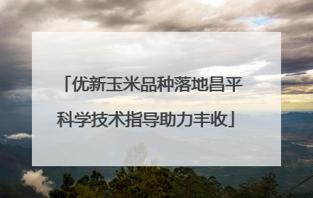 优新玉米品种落地昌平 科学技术指导助力丰收