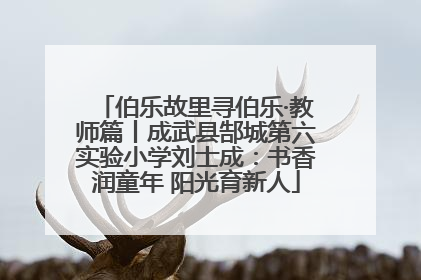 伯乐故里寻伯乐·教师篇丨成武县郜城第六实验小学刘士成：书香润童年 阳光育新人