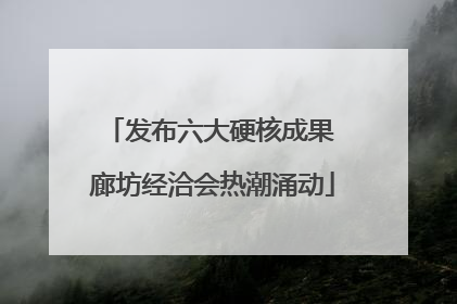 发布六大硬核成果 廊坊经洽会热潮涌动