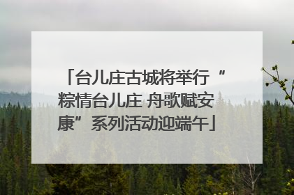台儿庄古城将举行“粽情台儿庄 舟歌赋安康”系列活动迎端午