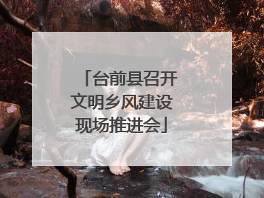 台前县召开文明乡风建设现场推进会