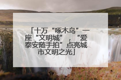 十万“啄木鸟”一座“文明城”，“爱泰安随手拍”点亮城市文明之光