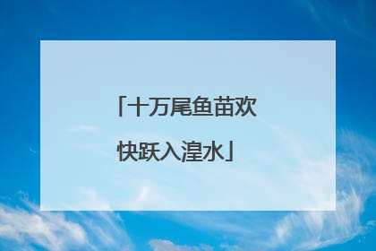 十万尾鱼苗欢快跃入湟水