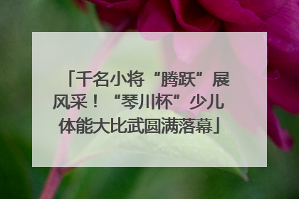 千名小将“腾跃”展风采！“琴川杯”少儿体能大比武圆满落幕