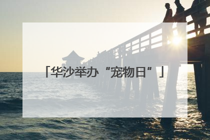 华沙举办“宠物日”