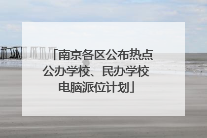 南京各区公布热点公办学校、民办学校电脑派位计划