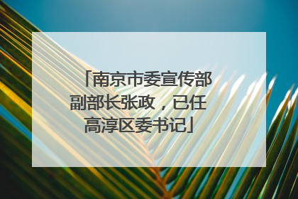 南京市委宣传部副部长张政，已任高淳区委书记