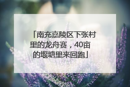 南充嘉陵区下张村里的龙舟赛，40亩的堰塘里来回跑