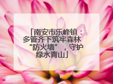 南安市乐峰镇：多管齐下筑牢森林“防火墙”，守护绿水青山