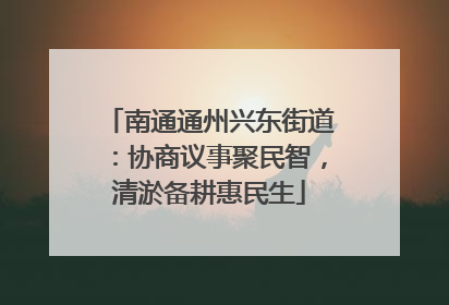 南通通州兴东街道：协商议事聚民智，清淤备耕惠民生