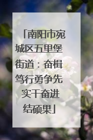 南阳市宛城区五里堡街道：奋楫笃行勇争先 实干奋进结硕果