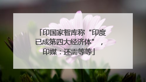 印国家智库称“印度已成第四大经济体”，印媒：还需等等