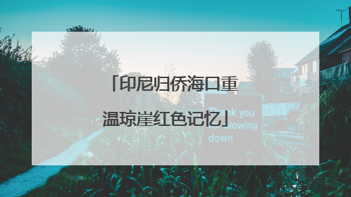 印尼归侨海口重温琼崖红色记忆