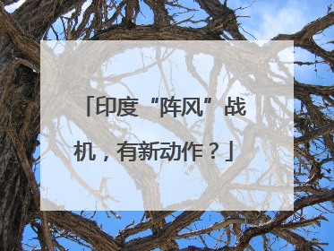印度“阵风”战机，有新动作？