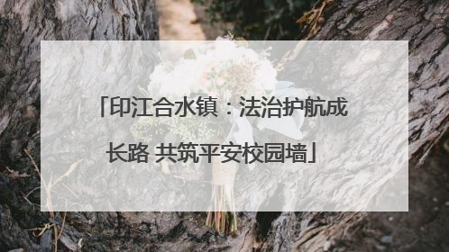 印江合水镇：法治护航成长路 共筑平安校园墙
