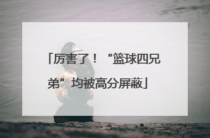 厉害了！“篮球四兄弟”均被高分屏蔽