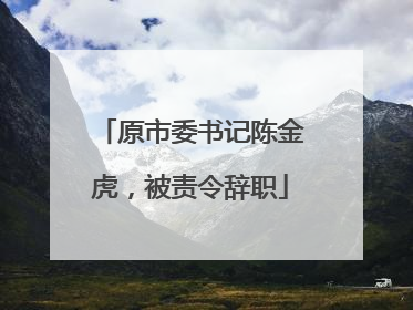 原市委书记陈金虎，被责令辞职