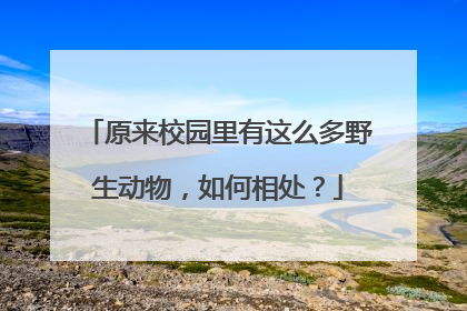 原来校园里有这么多野生动物，如何相处？