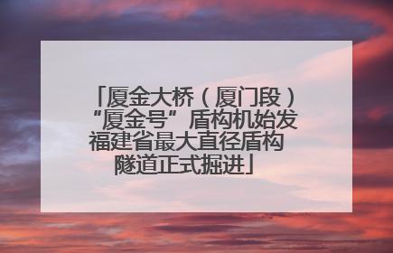 厦金大桥（厦门段）“厦金号”盾构机始发 福建省最大直径盾构隧道正式掘进