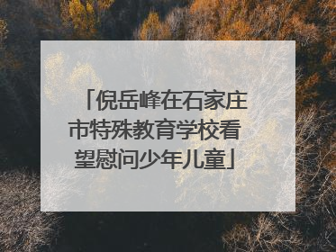 倪岳峰在石家庄市特殊教育学校看望慰问少年儿童