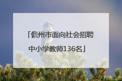 儋州市面向社会招聘中小学教师136名