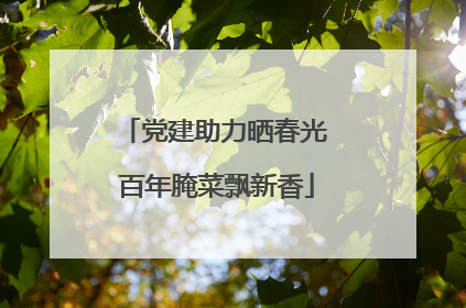 党建助力晒春光 百年腌菜飘新香