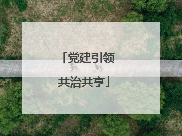 党建引领 共治共享