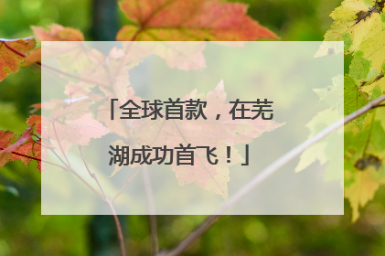全球首款，在芜湖成功首飞！