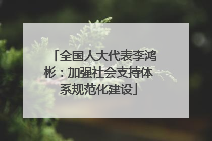 全国人大代表李鸿彬：加强社会支持体系规范化建设