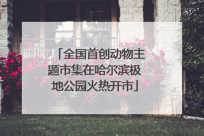 全国首创动物主题市集在哈尔滨极地公园火热开市