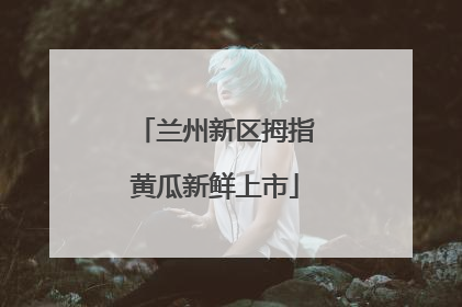 兰州新区拇指黄瓜新鲜上市