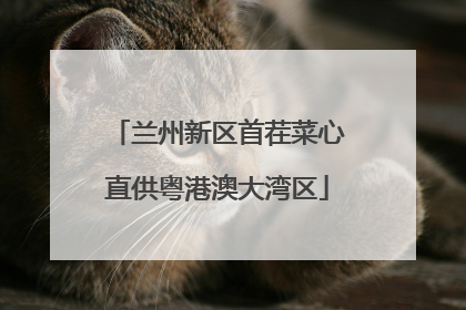兰州新区首茬菜心直供粤港澳大湾区