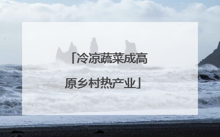 冷凉蔬菜成高原乡村热产业