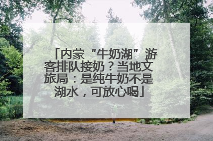 内蒙“牛奶湖”游客排队接奶？当地文旅局：是纯牛奶不是湖水，可放心喝