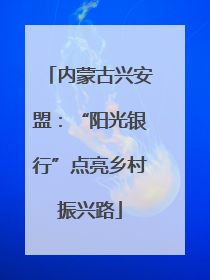 内蒙古兴安盟：“阳光银行”点亮乡村振兴路